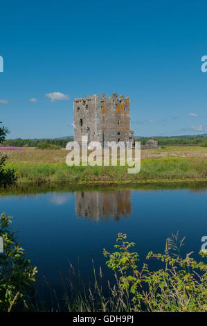 Castello Threave , a una massiccia torre trecentesca costruita da Archibald Grim, signore di Galloway su Threave isola con il fiume Dee nr Castle Douglas Dumfries & Galloway Scozia Scotland Foto Stock