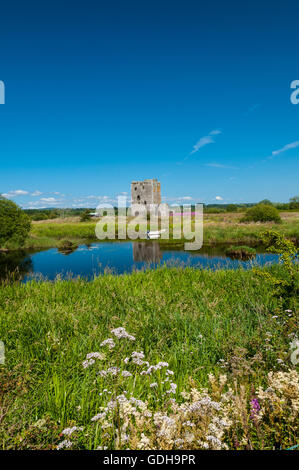 Castello Threave , a una massiccia torre trecentesca costruita da Archibald Grim, signore di Galloway su Threave isola con il fiume Dee nr Castle Douglas Dumfries & Galloway Scozia Scotland Foto Stock