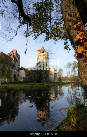 Pottendorf: i ruderi del castello di Pottendorf, Austria, Niederösterreich, Bassa Austria, Wienerwald, boschi di Vienna Foto Stock