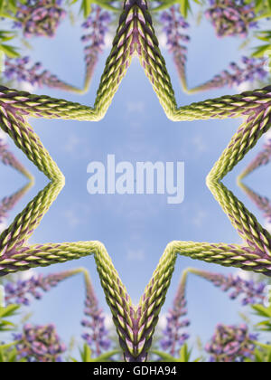 Abstract kaleidoscope pattern con fiori viola Foto Stock