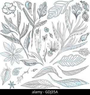 Raccolta di esotica cucina Indiana illustrazioni floreali in schizzo ornamenti in stile doodle per l'estate travel design Illustrazione Vettoriale