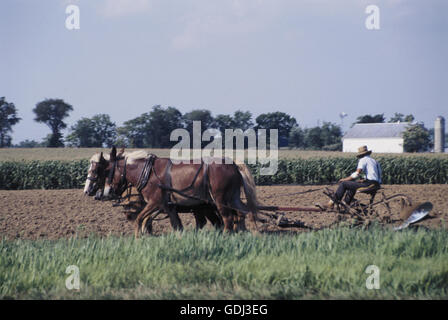 Geografia / viaggi, STATI UNITI D'AMERICA, persone Amish, agricoltore arando un campo con una squadra di cavalli, Pennsylvania, Foto Stock
