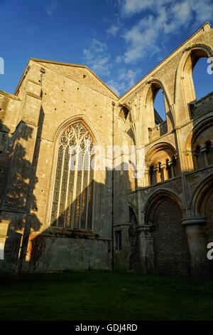 Dettagli esterni di Malmesbury Abbey, Wiltshire -3 Foto Stock