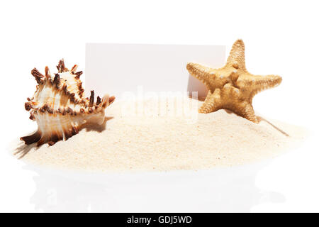 Carta bianca carta da visita con stella marina e conchiglia di mare sulla pila di spiaggia di sabbia, isolato su sfondo bianco Foto Stock