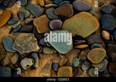 Varietà di colorati ciottoli bagnata in spiaggia. Foto Stock