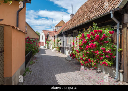 Storica città di Hanse Visby sullo svedese del Mar Baltico isola di Gotland Foto Stock