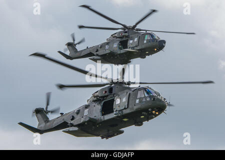 Agusta Westland Merlin HC3 e HC3A del commando forza di elicottero. Foto Stock