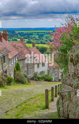 Famoso cottages in Collina d'oro, Shaftesbury, Dorset in luglio Foto Stock