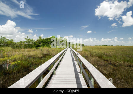 Vedute panoramiche del parco nazionale delle Everglades da Pa-Hay-Okee Trail Foto Stock