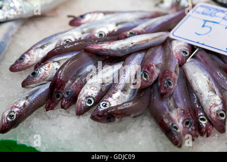 I pesci sul display in una fase di stallo al mercato La Boqueria a Barcellona, Spagna Foto Stock