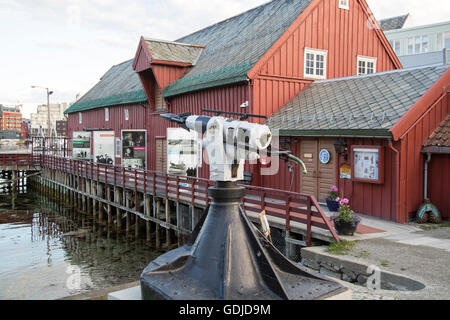 La caccia alla balena pistola arpione al di fuori del museo polare, Tromso, Norvegia Foto Stock