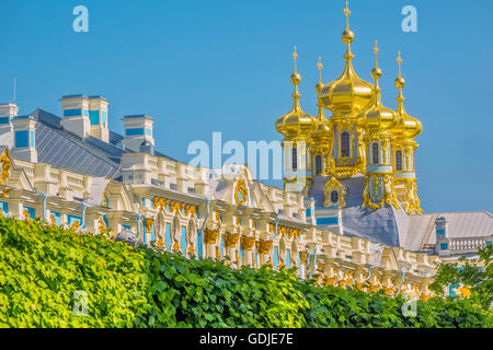 Il tetto e le cupole del Palazzo di Caterina Pushkin San Pietroburgo Russia Foto Stock