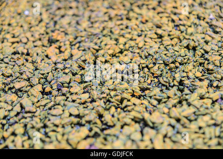 Sfondo costituito di un primo piano di una pila di ciottoli Foto Stock