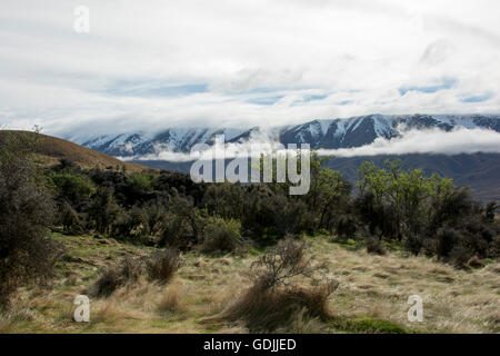 La conservazione Oteake il parco protegge la parte più settentrionale di Central Otago con la sua tussock grass terre in un clima asciutto. Foto Stock