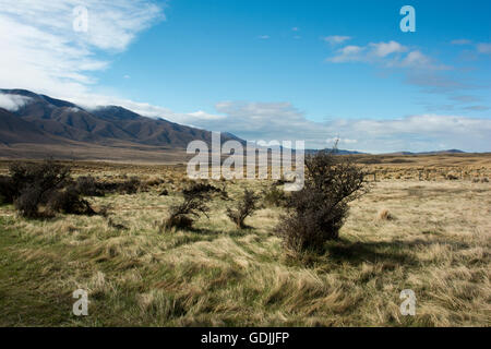 La conservazione Oteake il parco protegge la parte più settentrionale di Central Otago con la sua tussock grass terre in un clima asciutto. Foto Stock