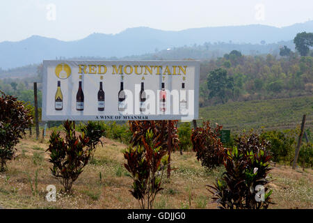 La piantagione di vino rosso cantina di montagna vicino alla città di Nyaungshwe al Lago Inle in stato Shan in oriente di Mya Foto Stock