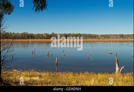 Vista panoramica del vasto calme acque blu del lago Nuga Nuga con foreste sull orizzonte sotto il cielo blu in outback Qld Australia Foto Stock