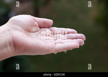 Aperto donna di Palm recuperando alcune gocce di pioggia, isolato su sfondo verde Foto Stock
