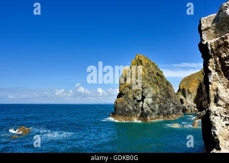 Il Cornish costa in Mullion Cornwall Inghilterra REGNO UNITO Foto Stock