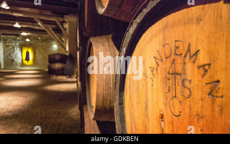 Il vino di Porto di barili, cantina cantina Sandeman in Gaia, Porto, Vila Nova de Gaia, Distretto di Porto, Portogallo, Europa, viaggi Foto Stock