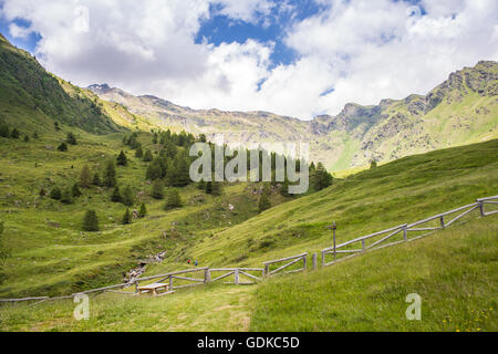 Incredibile vista sulla montagna in una soleggiata giornata estiva (Ponte di legno, Valle di viso - Italia) - Vista panoramica Foto Stock