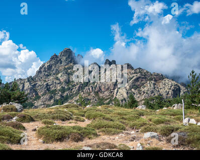 Scogliere frastagliate, Col de Bavella, il massiccio di Bavella, Corsica, Francia Foto Stock