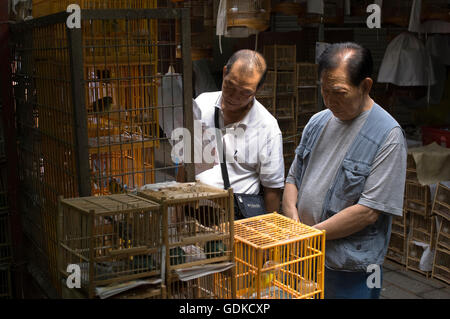 Il giardino degli uccelli mercato, Mong Kok district, Kowloon, Hong Kong, Cina, Asia Foto Stock