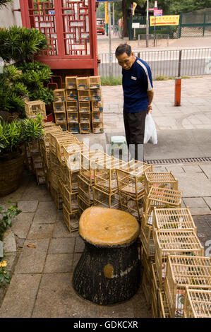 Il giardino degli uccelli mercato, Mong Kok district, Kowloon, Hong Kong, Cina, Asia Foto Stock