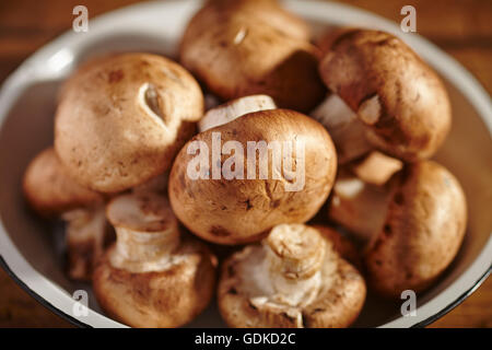 Una ciotola di materie crimini di funghi Foto Stock