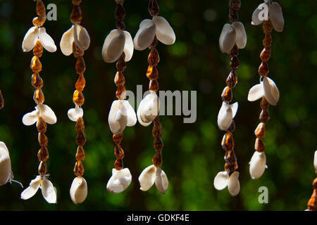 Bella artigianato prodotta dalla parete del guscio Foto Stock