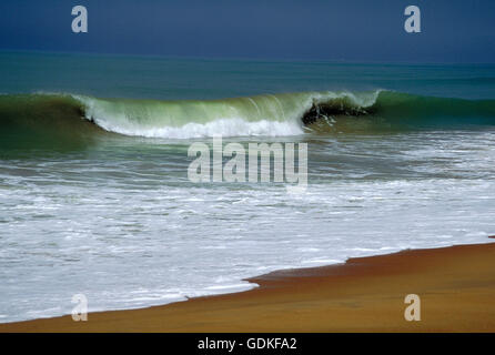 Surf sulla spiaggia di Grand Popo, una delle più belle spiagge di tutta l Africa occidentale. Benin. Foto Stock