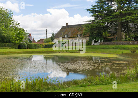 Cottage con il tetto di paglia e laghetto a Ashmore, Dorset in luglio Foto Stock