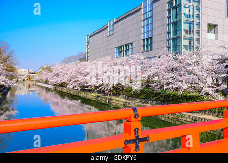 Kyoto, Giappone al fiore di ciliegio rivestito Okazaki Canal nella stagione primaverile. Foto Stock