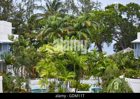 Aree di guarnigione bridgetown spiaggia pulita abbastanza Mar dei Caraibi costa sud-ovest vista resort costa Barbados isola indipendente Foto Stock