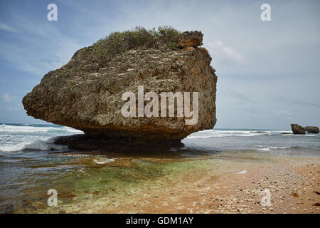 Le Piccole Antille Barbados parrocchia Saint Michael west indies capitale Bridgetown Barbados spiaggia di sabbia dorata con grande pietra ro Foto Stock