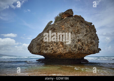 Le Piccole Antille Barbados parrocchia Saint Michael west indies capitale Bridgetown Barbados spiaggia di sabbia dorata con grande pietra ro Foto Stock