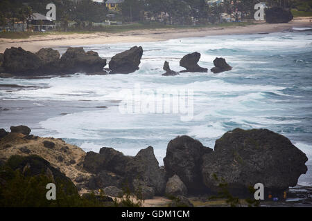 Le Piccole Antille Barbados parrocchia Saint Michael west indies capitale Bridgetown Barbados spiaggia di sabbia dorata con grande pietra ro Foto Stock