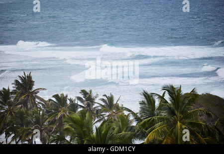 Le Piccole Antille Barbados parrocchia Saint Michael west indies capitale Bridgetown Barbados spiaggia di sabbia dorata con grande pietra ro Foto Stock