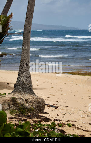 Le Piccole Antille Barbados parrocchia Saint Michael west indies capitale Bridgetown Barbados spiaggia di sabbia dorata con grande pietra ro Foto Stock