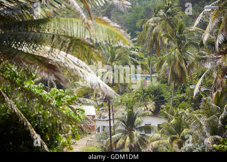 Le Piccole Antille Barbados parrocchia Saint Michael west indies capitale Bridgetown Barbados spiaggia di sabbia dorata con grande pietra ro Foto Stock