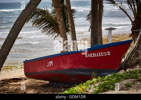 Le Piccole Antille Barbados parrocchia Saint Michael west indies capitale Bridgetown Barbados spiaggia di sabbia dorata con grande pietra ro Foto Stock