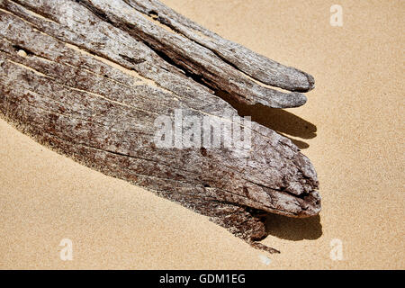 Le Piccole Antille Barbados parrocchia Saint Michael west indies capitale Bridgetown Barbados spiaggia di sabbia dorata con grande pietra ro Foto Stock