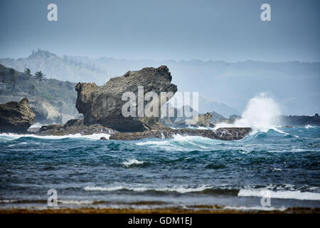 Le Piccole Antille Barbados parrocchia Saint Michael west indies capitale Bridgetown Barbados spiaggia di sabbia dorata con grande pietra ro Foto Stock