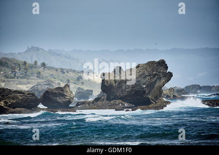 Le Piccole Antille Barbados parrocchia Saint Michael west indies capitale Bridgetown Barbados spiaggia di sabbia dorata con grande pietra ro Foto Stock