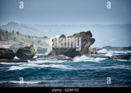 Le Piccole Antille Barbados parrocchia Saint Michael west indies capitale Bridgetown Barbados spiaggia di sabbia dorata con grande pietra ro Foto Stock