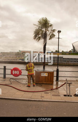 Il Quayside, Newcastle upon Tyne, Regno Unito. 18 Luglio, 2016. I vigili del fuoco di affrontare la masterizzazione di Palm tree alla banchina del porto di mare. David Dixon / Alamy Live News Foto Stock