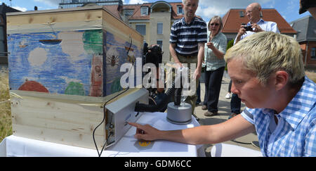 Stuttgart, Germania. 18 Luglio, 2016. Apicoltore Maren Schwarz commuta su un 'bee sauna' all'interno di un alveare di Stoccarda, Germania, 18 luglio 2016. Sotto il calore della sauna di API sensibili al calore parassita Varroa destructor muore. Foto: Franziska Kraufmann/dpa/Alamy Live News Foto Stock