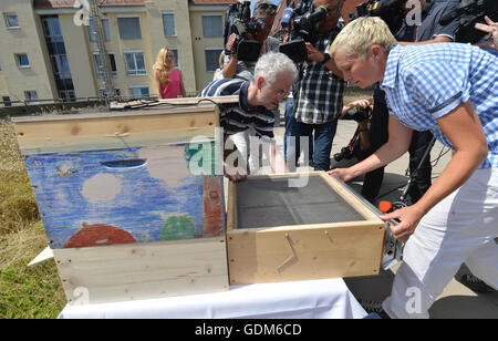 Stuttgart, Germania. 18 Luglio, 2016. Apicoltore Maren Schwarz e sviluppatore del bee sauna Richard Rossa installare un 'bee sauna' all'interno di un alveare di Stoccarda, Germania, 18 luglio 2016. Sotto il calore della sauna di API sensibili al calore parassita Varroa destructor muore. Foto: Franziska Kraufmann/dpa/Alamy Live News Foto Stock