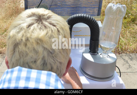 Stuttgart, Germania. 18 Luglio, 2016. Apicoltore Maren Schwarz commuta su un 'bee sauna' all'interno di un alveare di Stoccarda, Germania, 18 luglio 2016. Sotto il calore della sauna di API sensibili al calore parassita Varroa destructor muore. Foto: Franziska Kraufmann/dpa/Alamy Live News Foto Stock