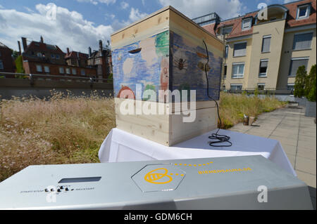 Stuttgart, Germania. 18 Luglio, 2016. Un 'bee sauna' davanti a un alveare di Stoccarda, Germania, 18 luglio 2016. Sotto il calore della sauna di API sensibili al calore parassita Varroa destructor muore. Foto: Franziska Kraufmann/dpa/Alamy Live News Foto Stock